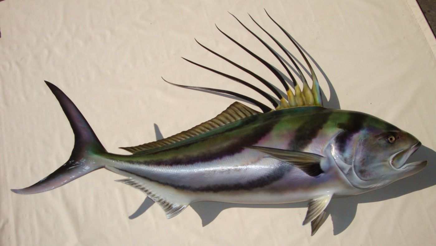 Rooster Fish Replicas